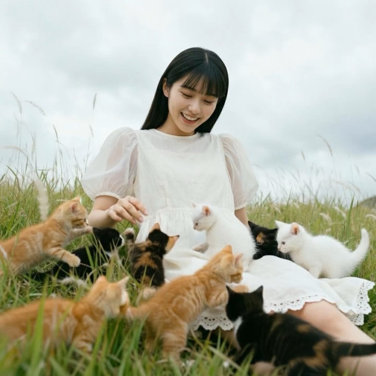 Cute Animals