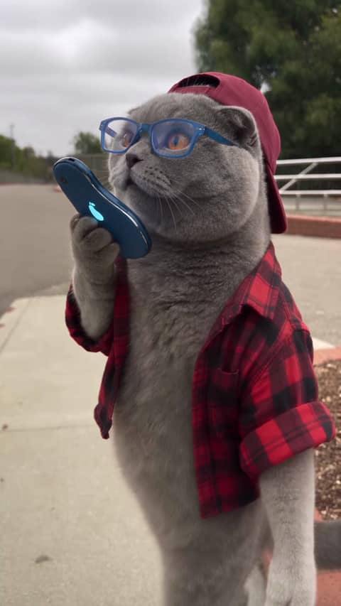 Get a Job Trend - Pick a character. It makes the viral "how do I become a millionaire in 30 days" phone call, every tap and head move, on the sidewalk or a place you pick.